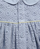 فستان بياقة من الدانتيل image number 3