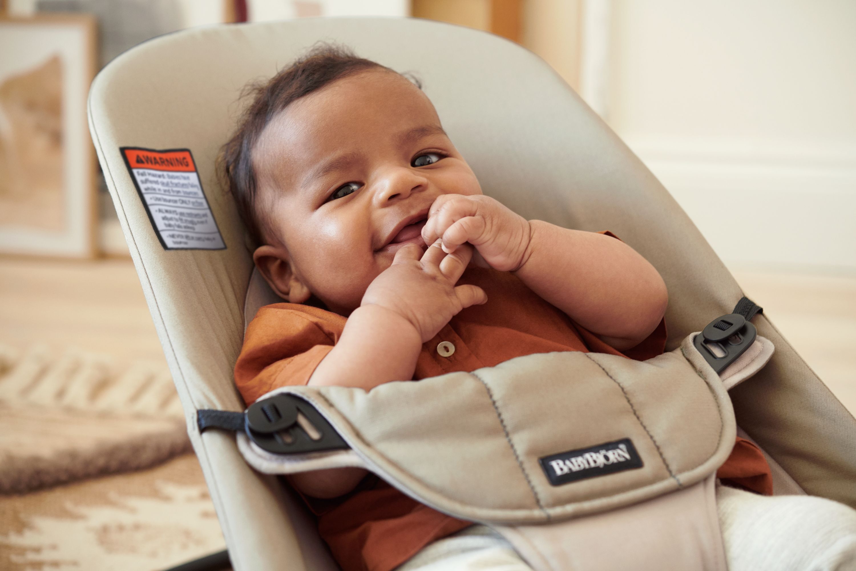 كرسي هزاز بالانس سوفت من بيبي بيورن image number 3