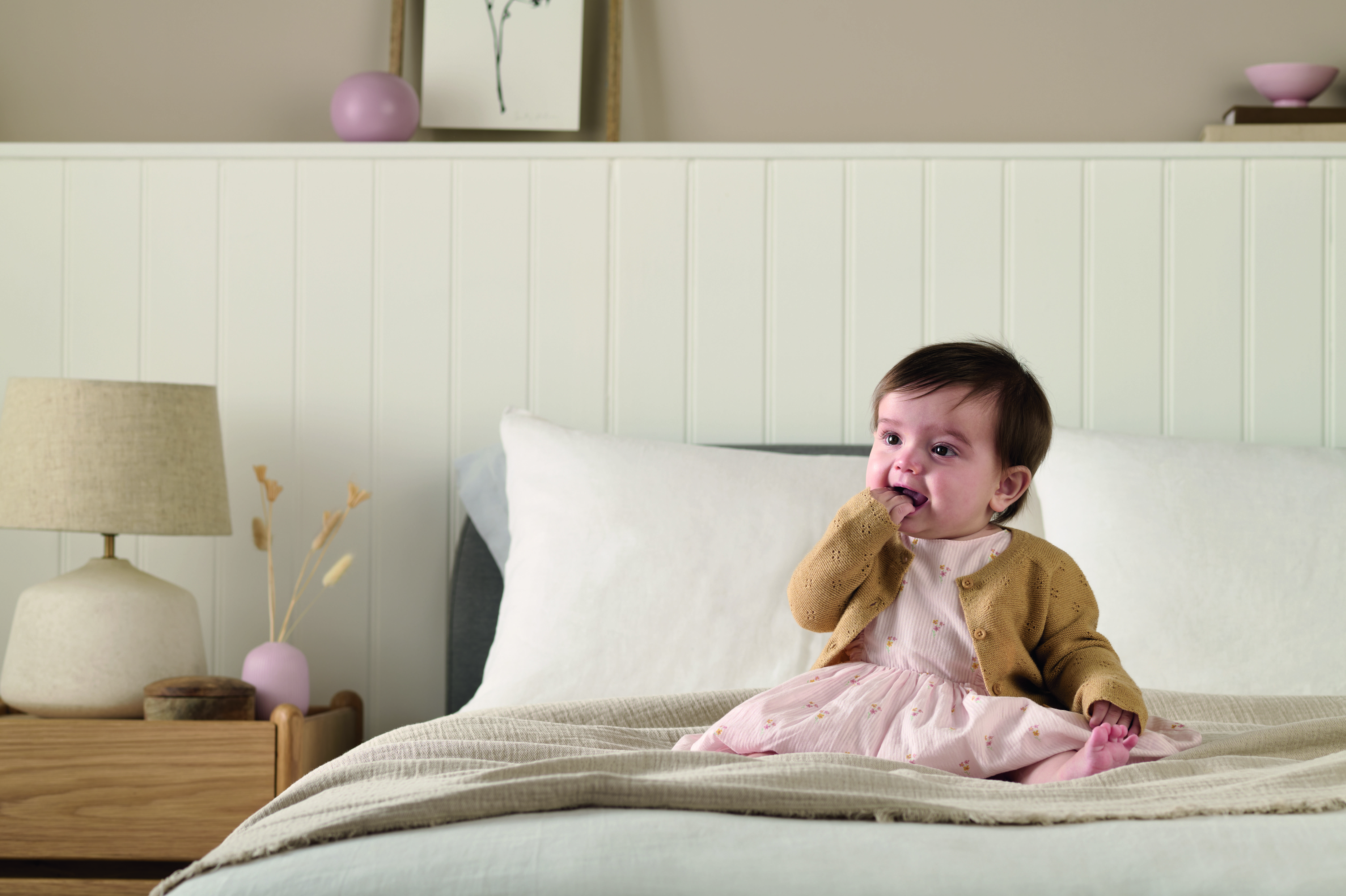 كارديغان بحافة صدفية image number 6