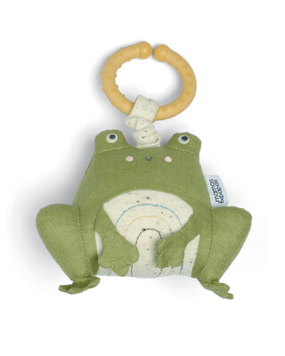 GG FROG ACTIVITY TOY